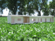 render vivienda bio