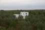 vista entorno olivar