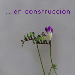 diseño ecológico
