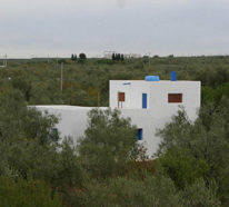 link a seccion de arquitectura sostenible