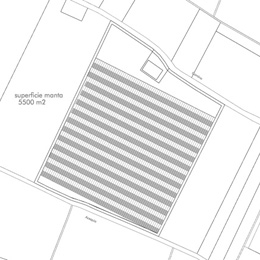 campo fotovoltaico