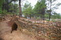 restauración trincheras